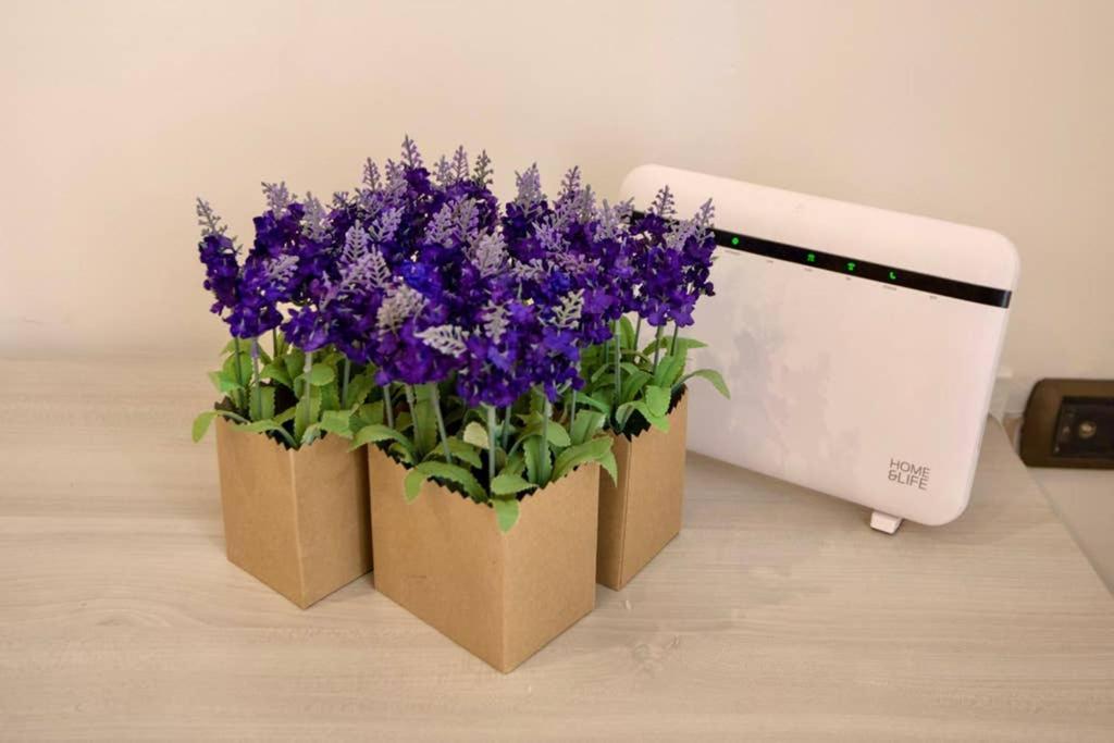 Sara luxury apartament Sorrento Bagian luar foto